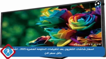 أسعار شاشات التلفزيون بعد تخفيضات الحكومة المصرية 2025.. اشترِ بأقل سعر الآن